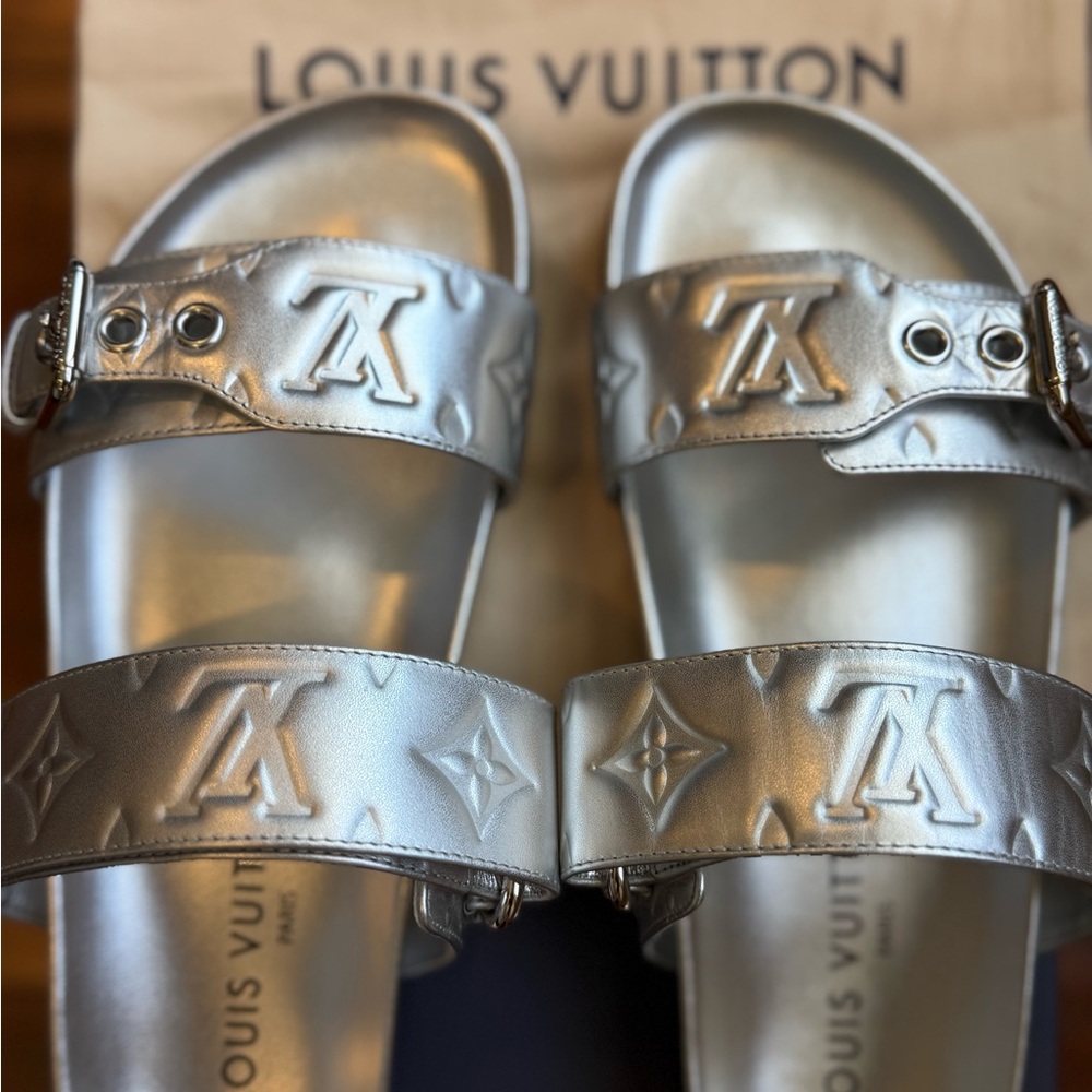 Louis Vuitton Metallic Silver Slides